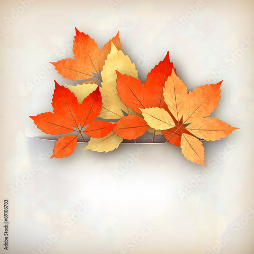 Autumn Vector Fall Leaves