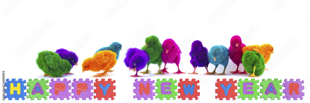 colorful of chicks on New Year 2015