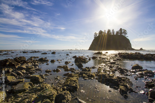 Seastack Sanctuary Low Tide Second Beach Olympic National Park photo