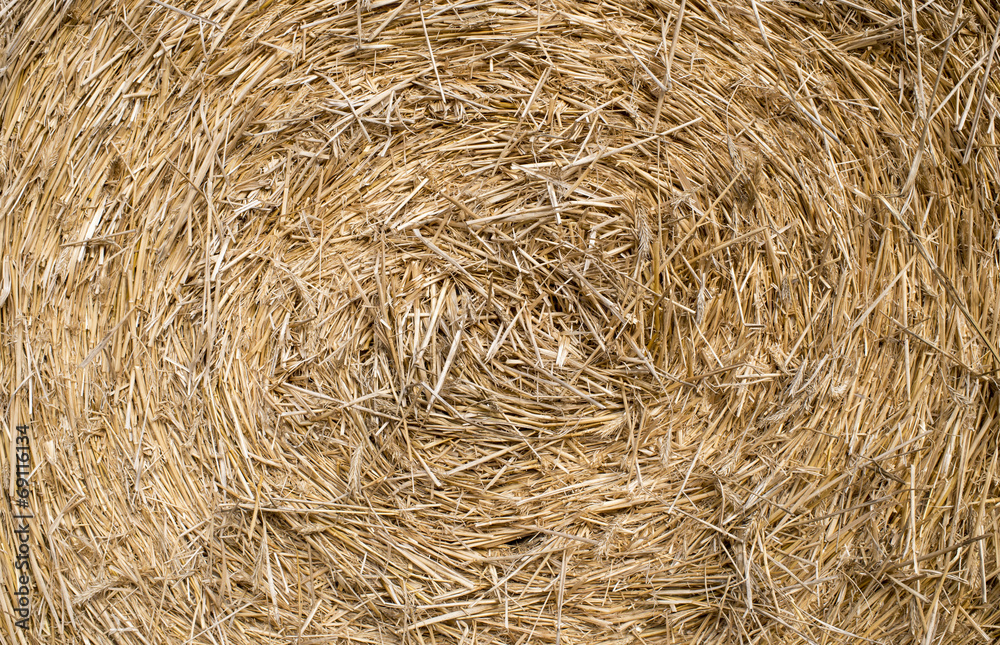 Abstrack texture close up golden straw for background Abstrack texture close up golden straw for background