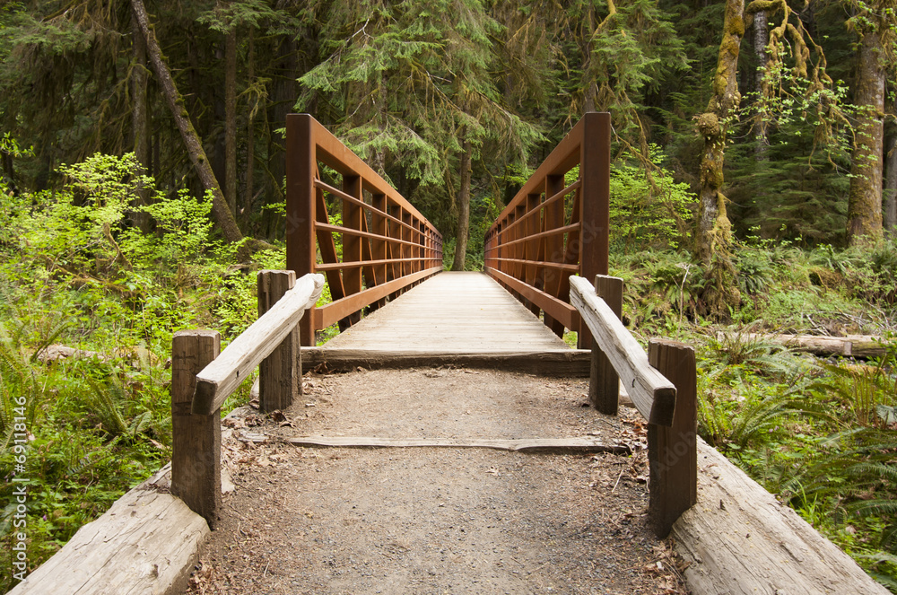 Nature Bridge end near Marymere Falls, Olympic National Park
