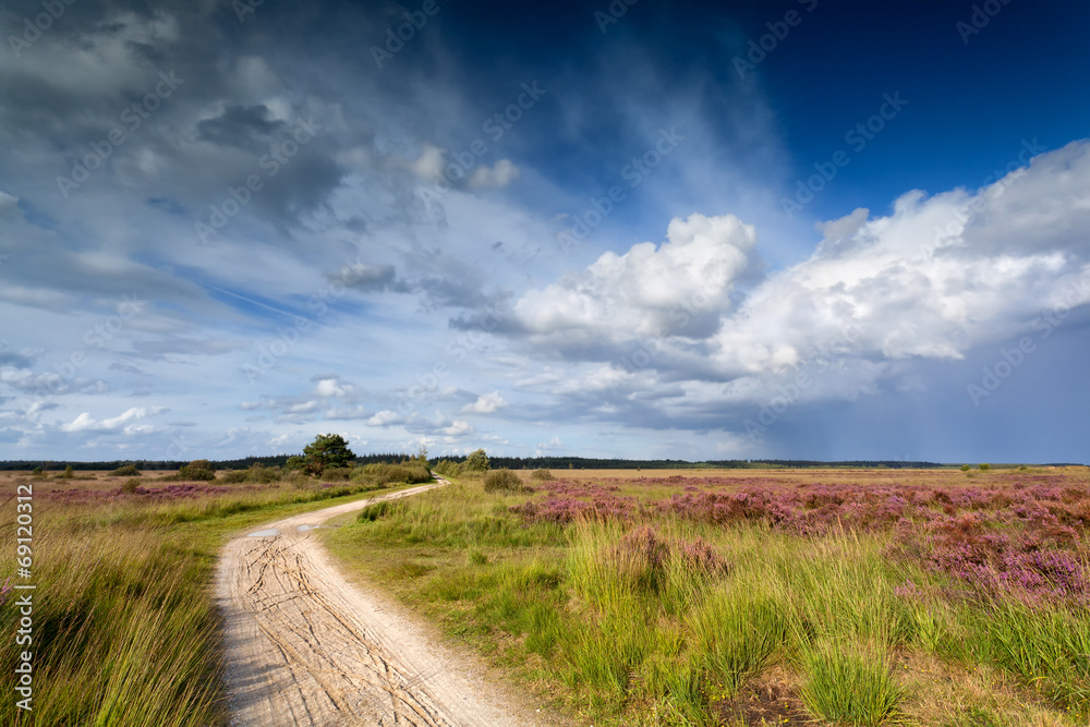 path through meadows and blue sky