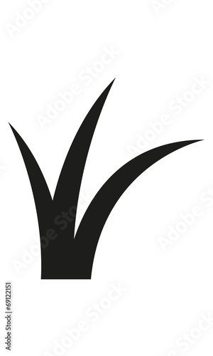Gras