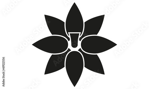 Lotusblüte
