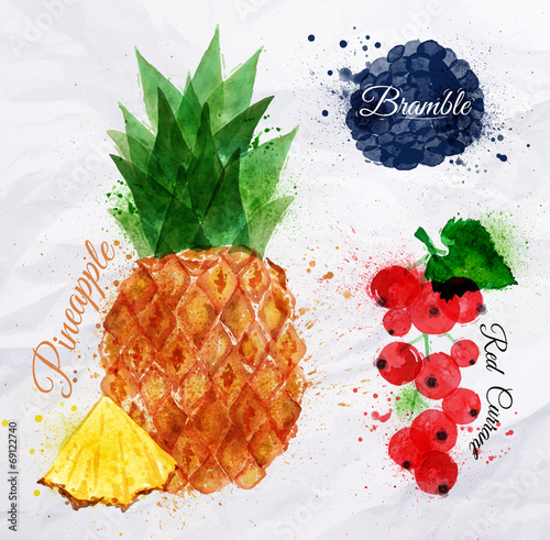 Fruit watercolor pineapple, bramble, red currant