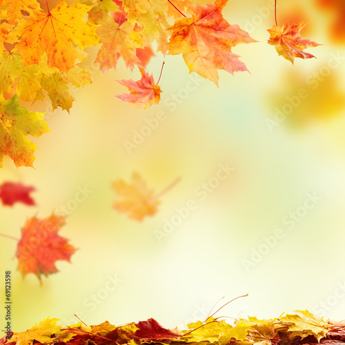 Falling autumn leaves with free space for text