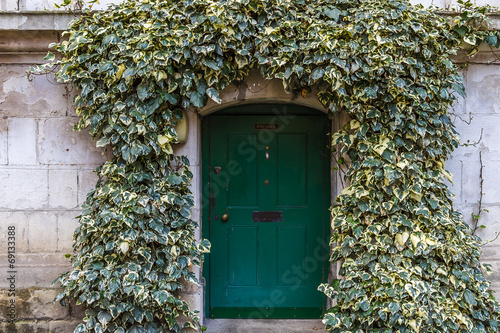 Foto Old ivy wall with small green door in Westminster, London