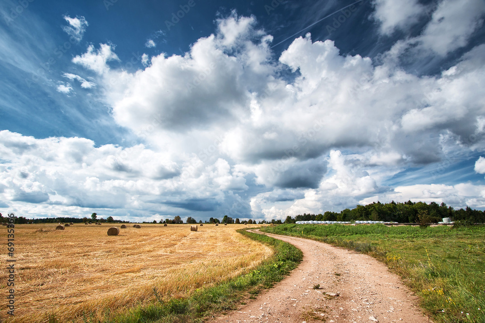 Naklejka premium Countryside road with dramatic sky