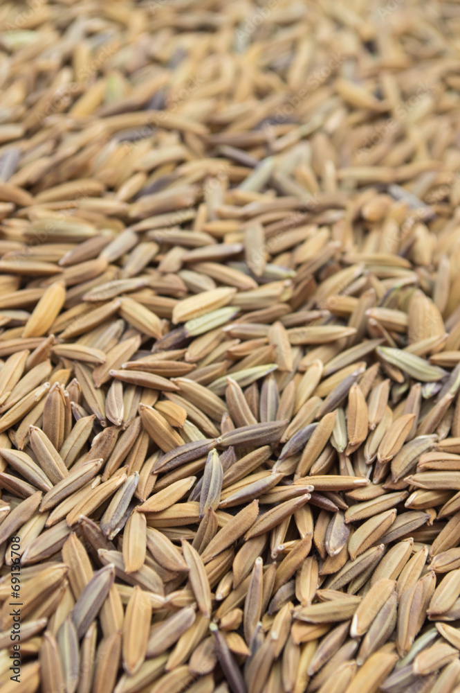 Obraz premium rice