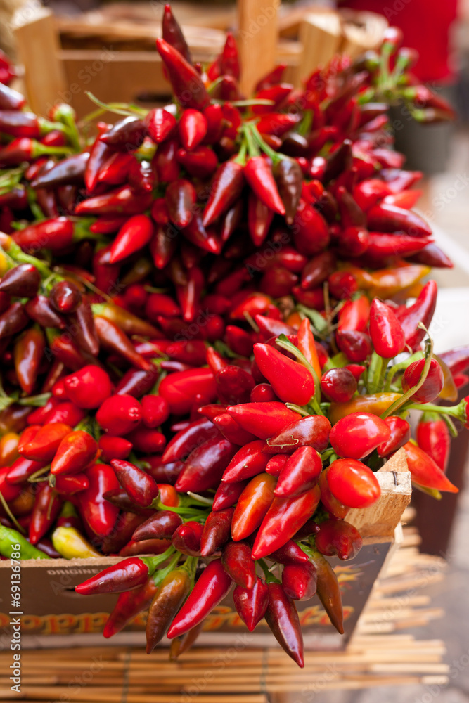 bunch of red hot chili pepper at market bunch of red hot chili pepper at market