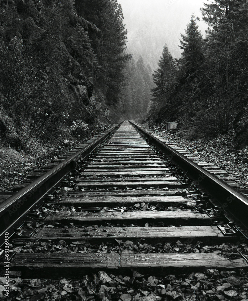 Obraz premium North Idaho Train Tracks