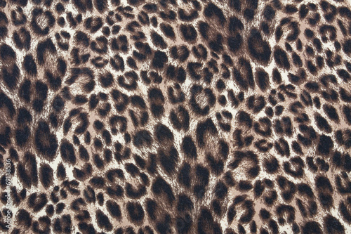 Tiger Strips