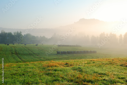 Foggy morning grassland landscape with trees and hill in the dis
