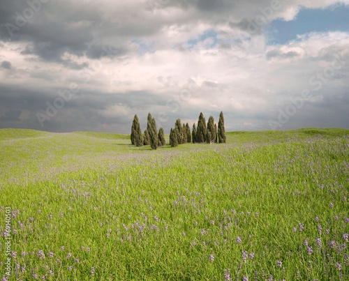 CGI Landscape Tuscany