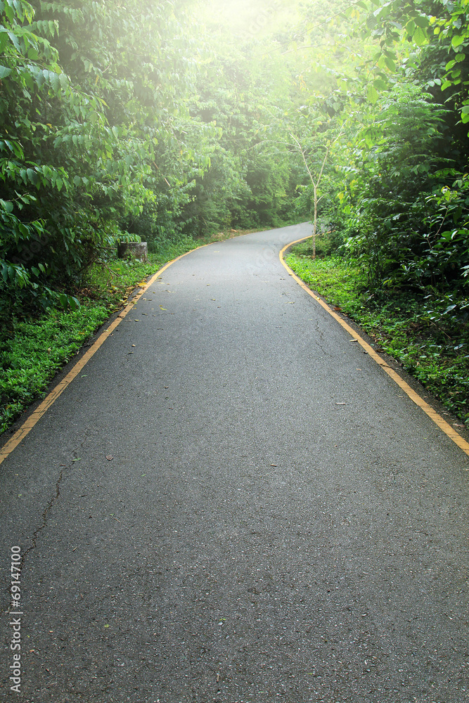 Obraz premium Road to tropical forest