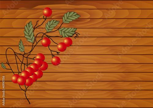 Red rowan branch