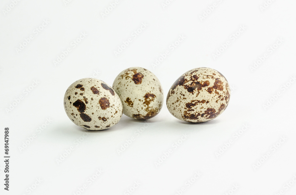 Group of quail eggs, isolated on white background Group of quail eggs, isolated on white background