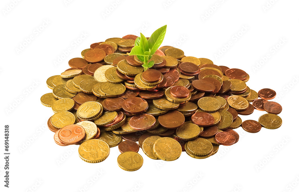 euro coint and a plant - green growth - ecology euro coint and a plant - green growth - ecology