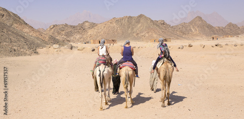 Turists on the camel