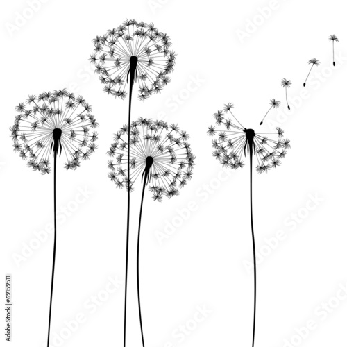 collection, for designers, plant vector