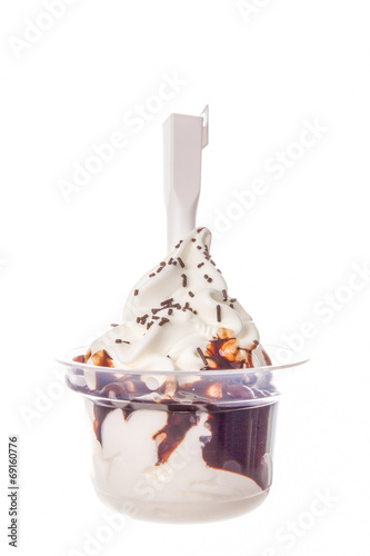 chocolate and vanilla ice cream