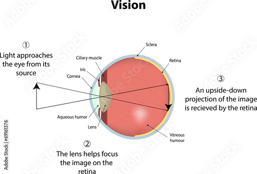 Vision Diagram