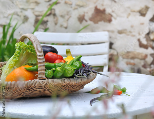 panier de légumes sur table de jardin