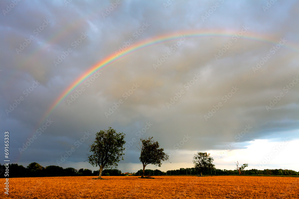 Rainbow over field Rainbow over field