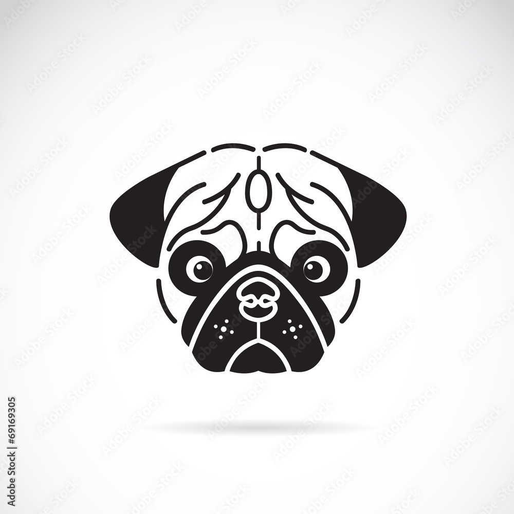 Vector image of pug's face on white background