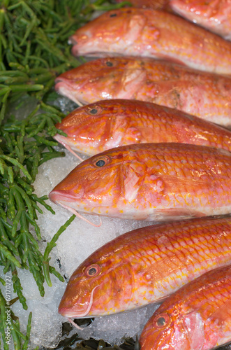 fish at a market