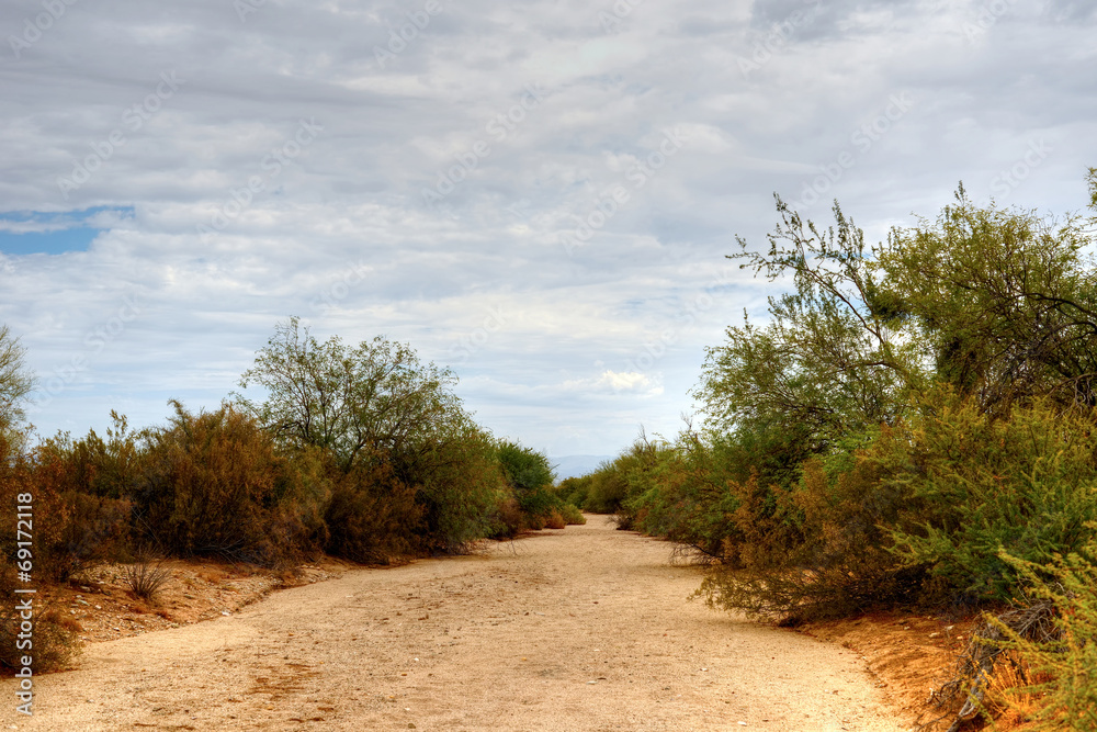 Sonora Desert Sonora Desert