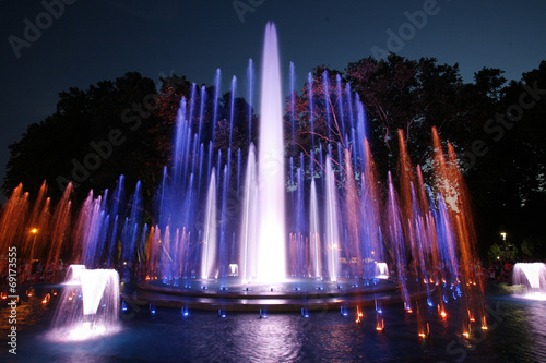 Canvas Print Magical fountain in Margaret Island Budapest by night