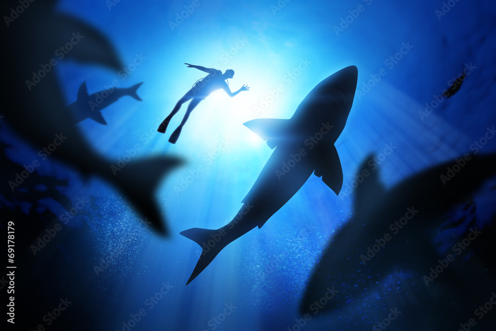 Fototapeta premium Nurek i wielkie białe rekiny