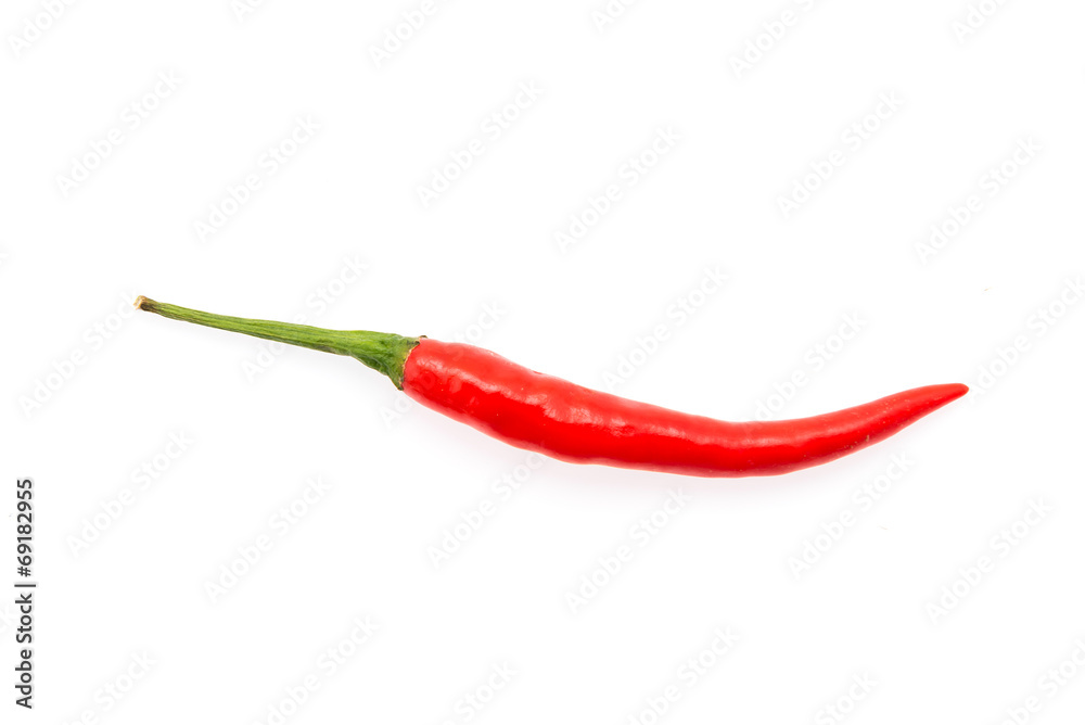 Chilli isolated on white