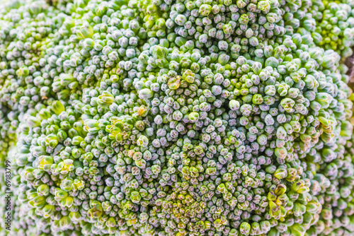 Close up broccoli