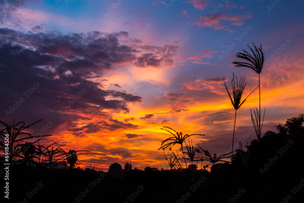 Obraz premium The morning light