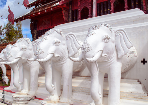 White elephant heads in Chiang Mai Royal Park. photo