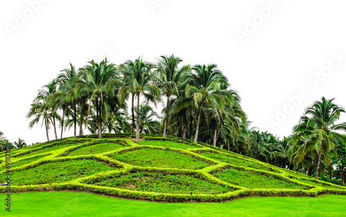 Landscaped garden at Chiang Mai Royal Park