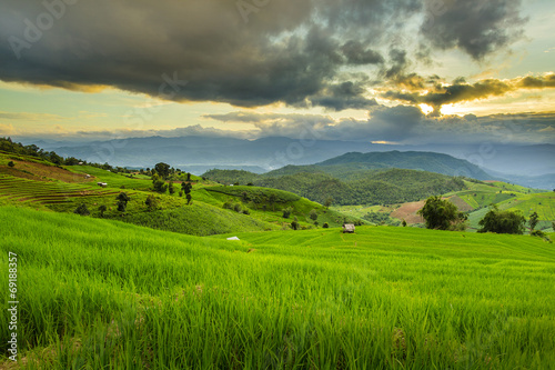 Terrace rice field over the mountain,thailand © keangs