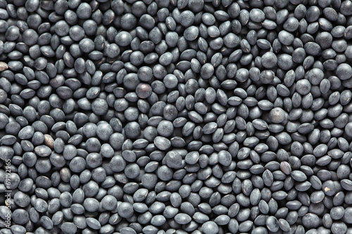 Black beluga lentils