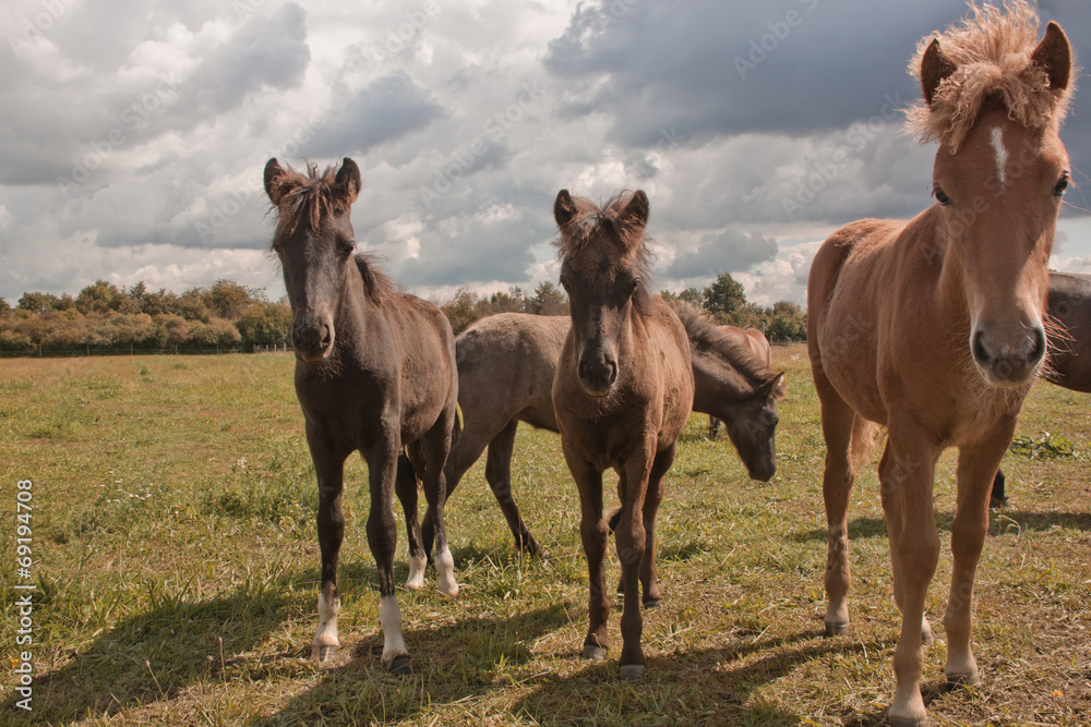 Obraz premium Neugier