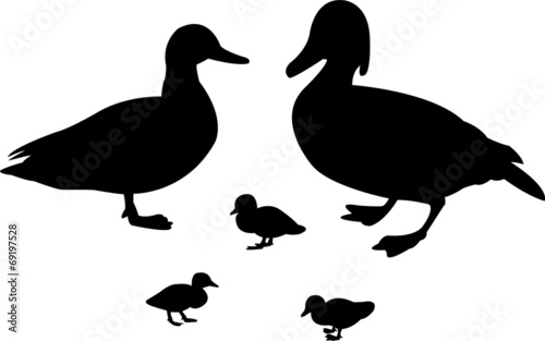 illustration of duck family - vector