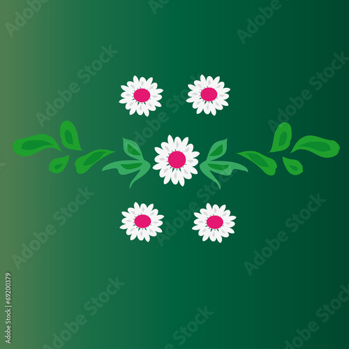The flower and leaves