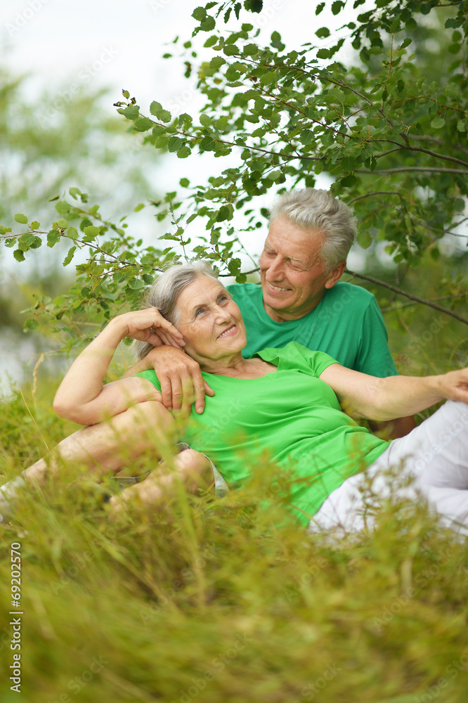 Fototapeta premium Senior couple in summer field