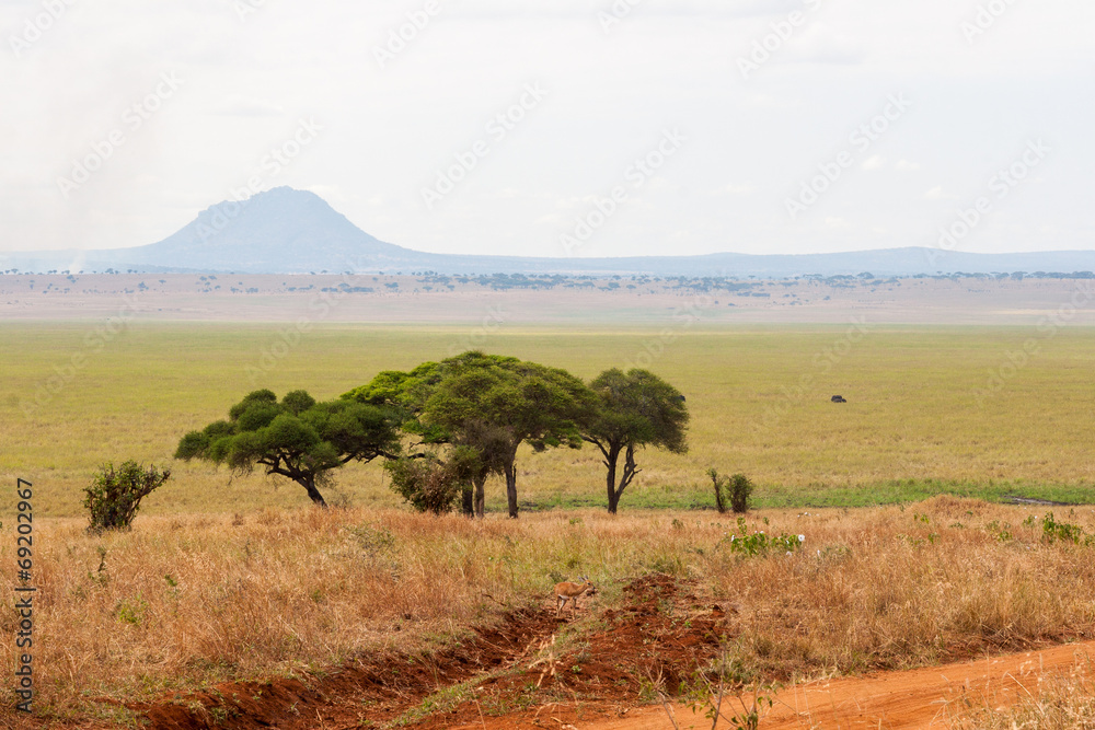 Fototapeta premium Tarangire Vista