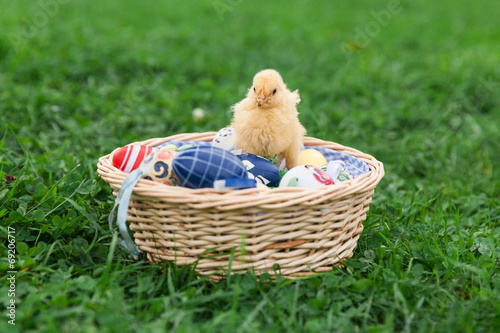 Easter nest with chick