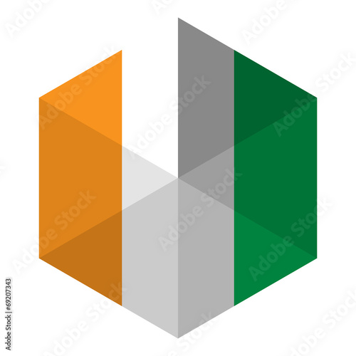 Ireland Flag Hexagon Flat Icon Button