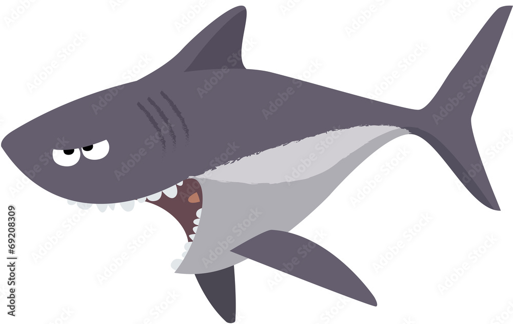 Fototapeta premium requin