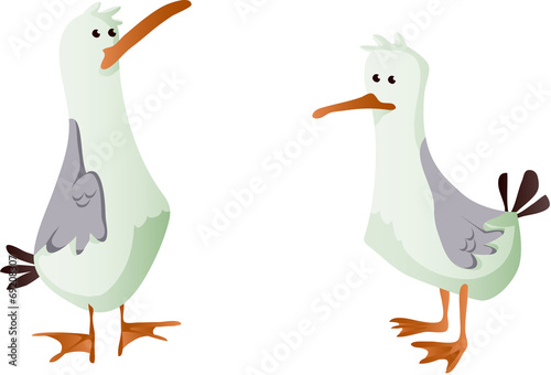 mouettes