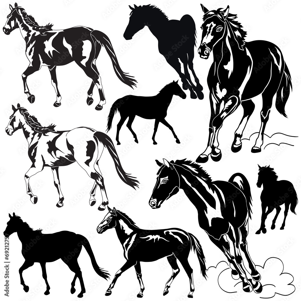Horses Horses
